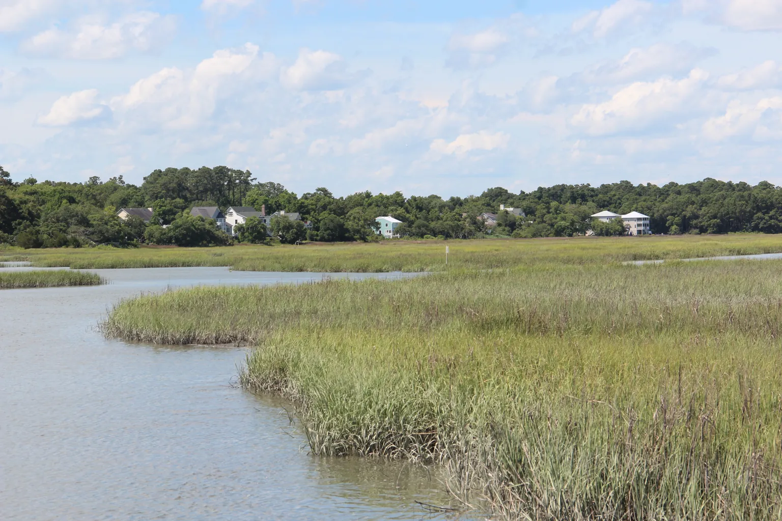 Salt marsh grass and a tidal creek in Murrells Inlet, with houses on the far bank